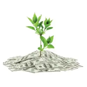 Representação do crescimento de uma árvore entrew dinheiro, simbolo de custo benefício eficiente.